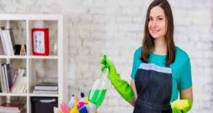 شغاله بالشهر جده حى الحمدانية